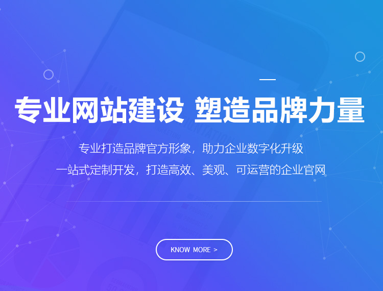 东方建站-专业网站建设 塑造品牌力量